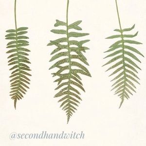 ✨ find me on instagram ✨